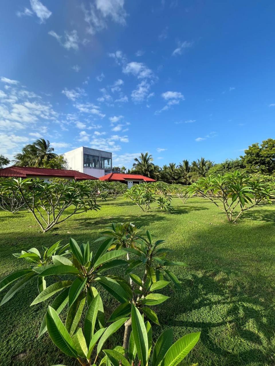 Nn Beach Resort & Spa Nilaveli Kültér fotó